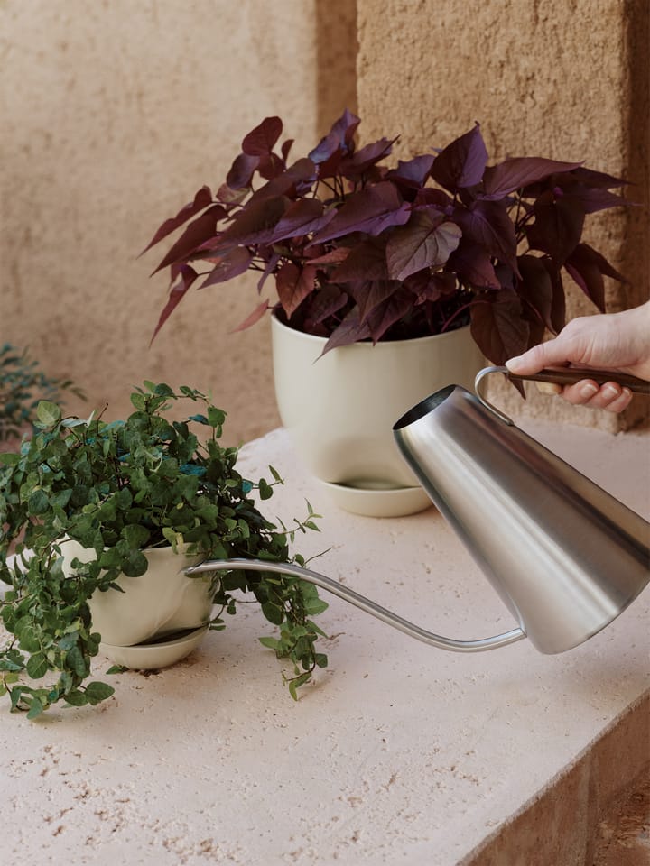 Vaso trasparente che assorbe l'acqua automatica Vasi da fiori in