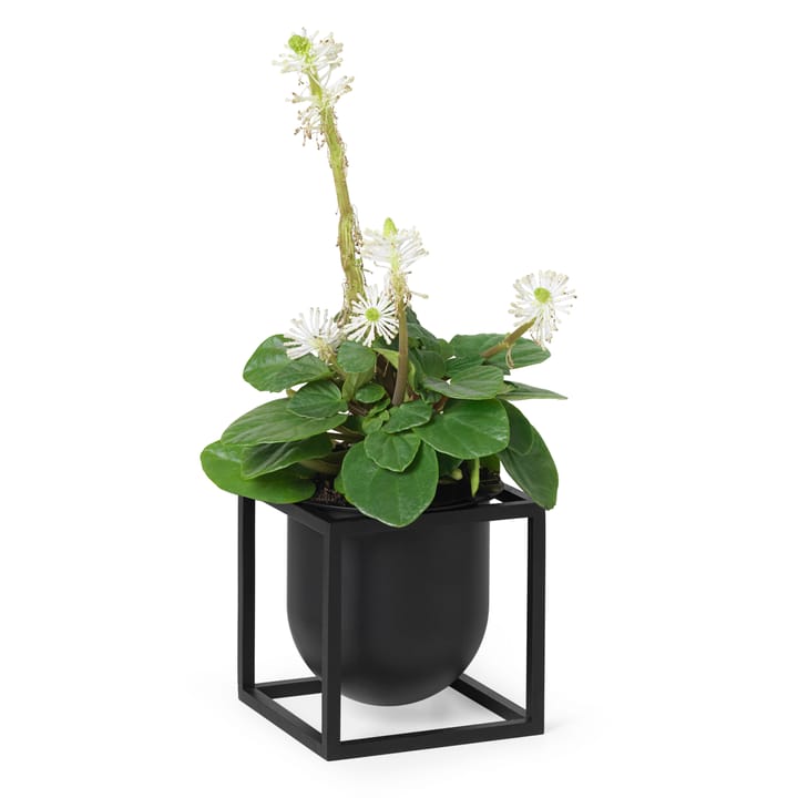 Vaso da fiori Kubus 10 cm, Nero Audo Copenhagen