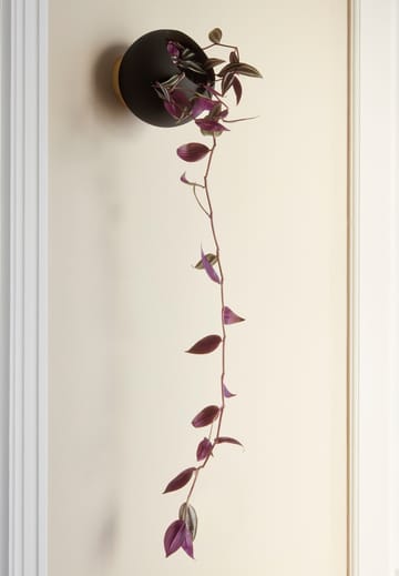Vaso da fiori Globe da parete Ø 17 cm - Nero - AYTM