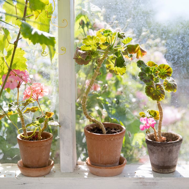 Vaso da fiori Helena Ø 12 cm, Rosa Bergs Potter