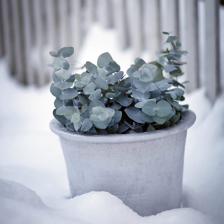 Vaso Cilla Ø37 cm, Alluminio Byarums bruk