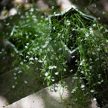 Vaso Stjärnkruka - Alluminio, basso Ø23 cm - Byarums bruk