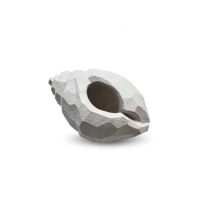 Scultura The Pear Shell 16 cm - Limestone - Cooee Design