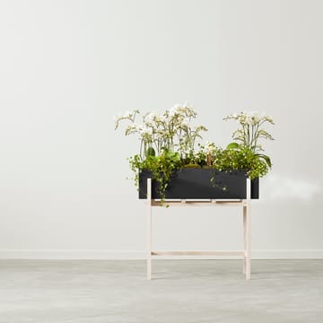 Alzata Botanic - Nero-frassino - Design House Stockholm