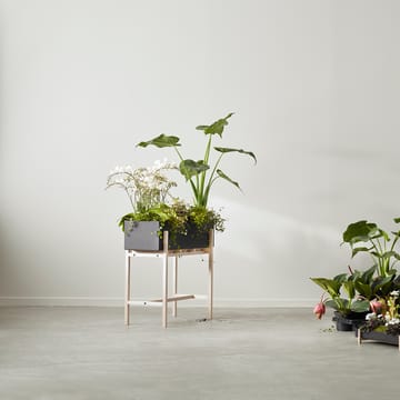 Alzata Botanic - Nero-frassino - Design House Stockholm