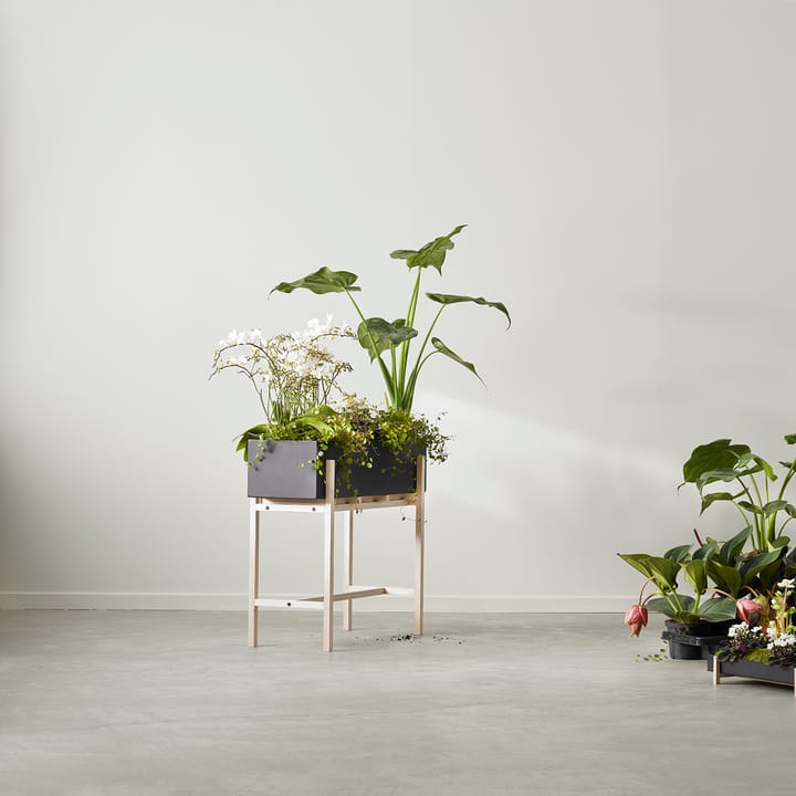 Alzata Botanic, Nero-frassino Design House Stockholm