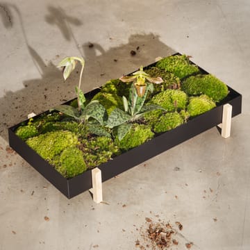 Fioriera con vassoio per fiori Botanic - nero - Design House Stockholm