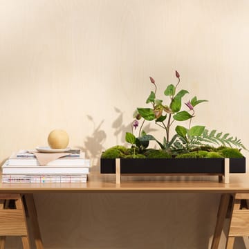 Fioriera con vassoio per fiori Botanic - nero - Design House Stockholm