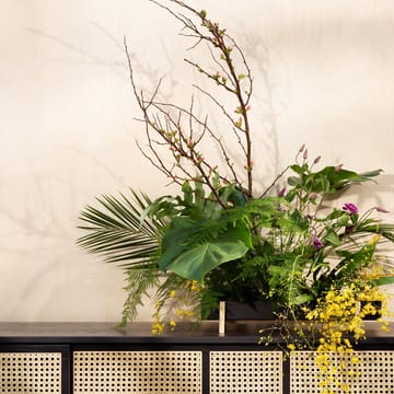 Fioriera con vassoio per fiori Botanic - nero - Design House Stockholm