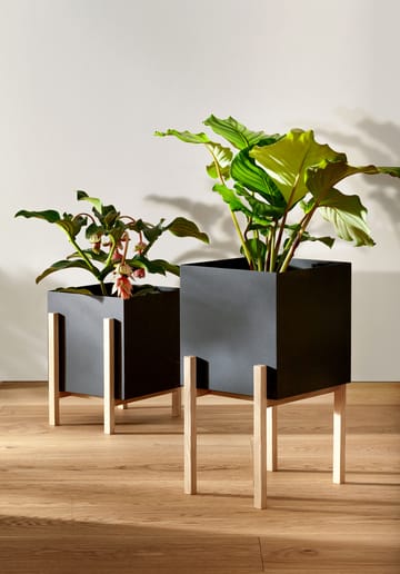 Vaso da fiori Botanic - Nero-scatola - Design House Stockholm