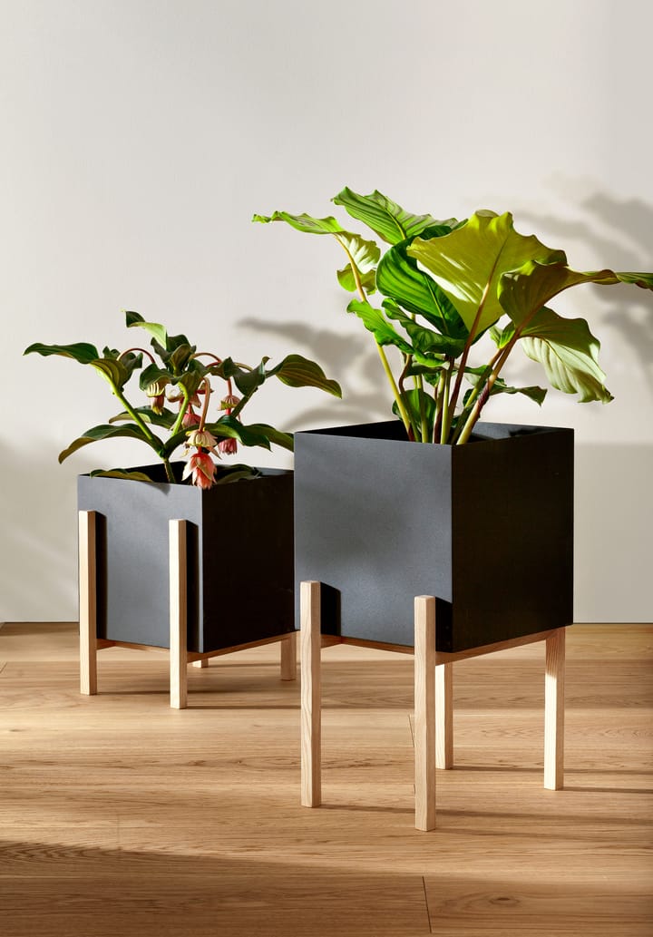 Vaso da fiori Botanic, Nero-scatola Design House Stockholm