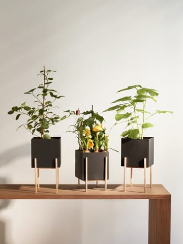 Vaso da fiori Botanic - Nero-scatola - Design House Stockholm