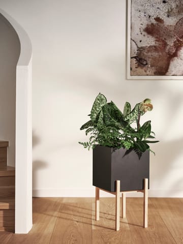 Vaso da fiori con piedistallo Botanic  - Nero-scatola - Design House Stockholm