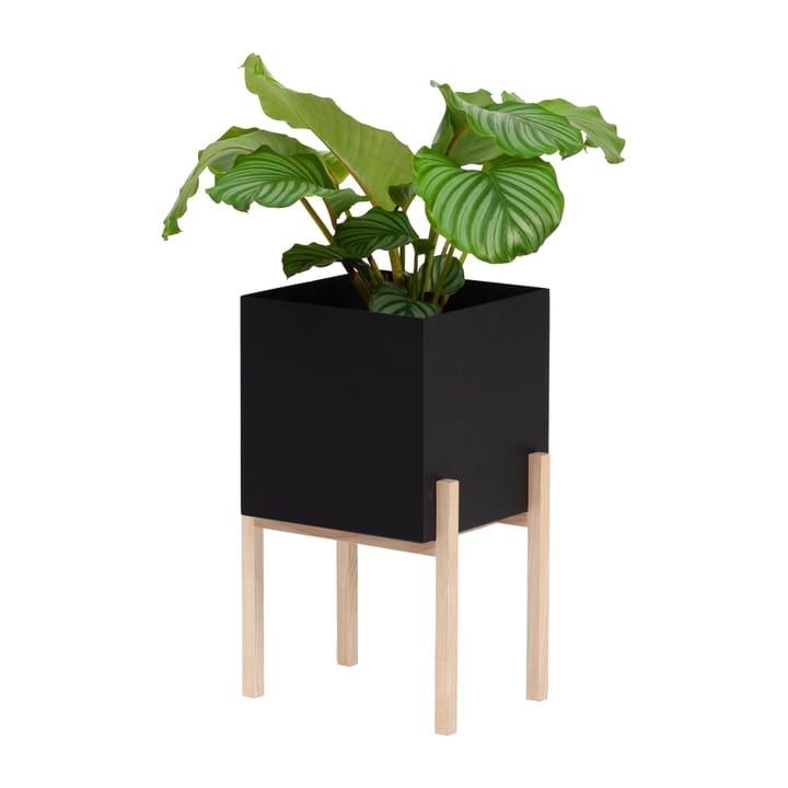 Vaso da fiori con piedistallo Botanic , Nero-scatola Design House Stockholm