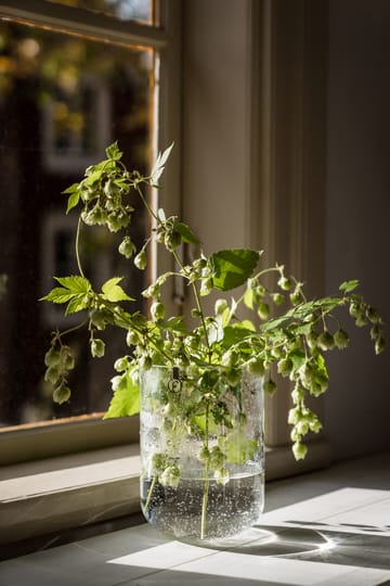 Vaso in vetro con bolle Ernst 18 cm - Chiaro - ERNST