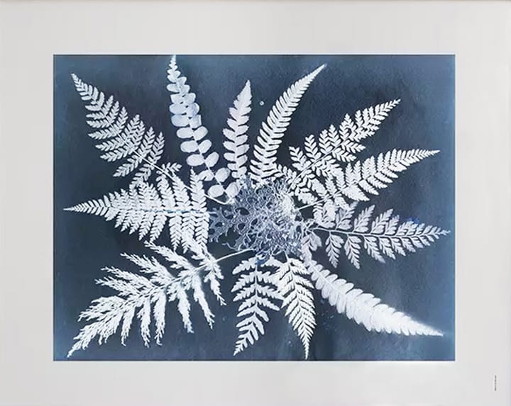 Poster Fern star  - 40x50 cm - Fine Little Day