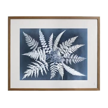 Poster Fern star  - 40x50 cm - Fine Little Day