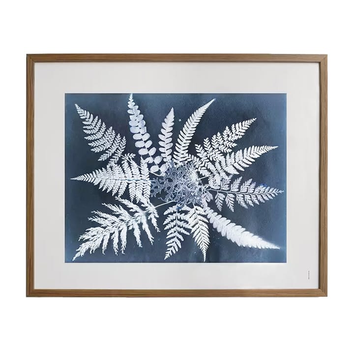 Poster Fern star , 40x50 cm Fine Little Day