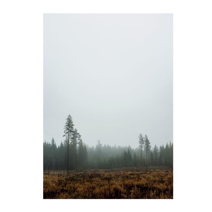 Poster Skog  - 70x100 cm - Fine Little Day