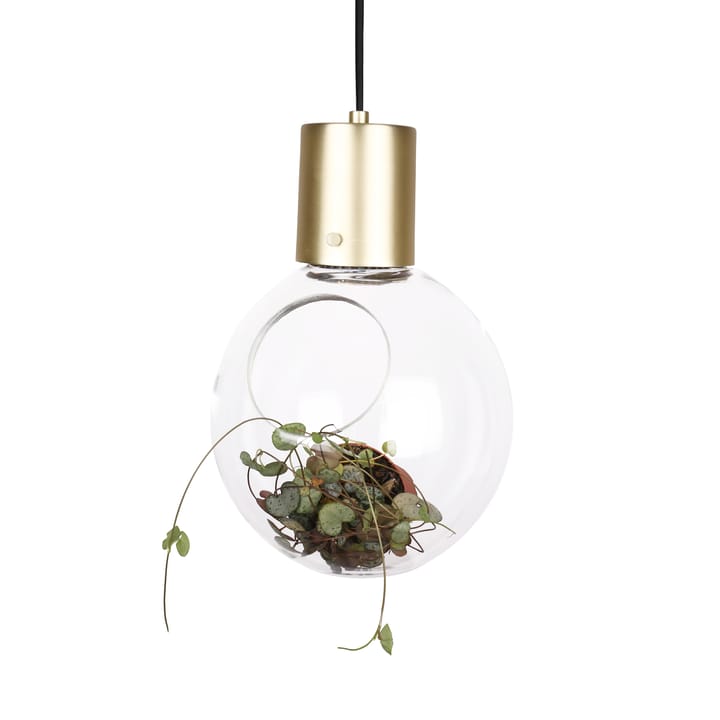 Plafoniera Mini Hole
 - trasparente-ottone - Globen Lighting