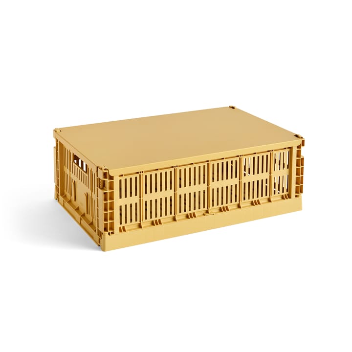 Coperchio Colour Crate grande - Giallo dorato - HAY