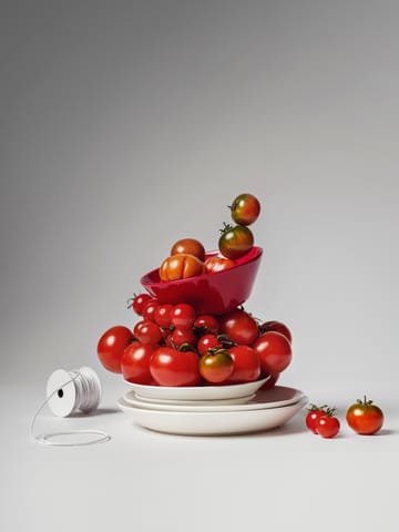 Set antipasti Teema - 16 pz - Iittala