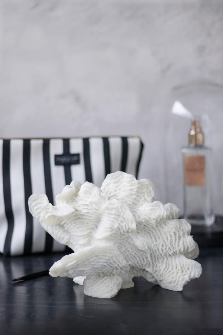 Coral fan, Bianco Mette Ditmer