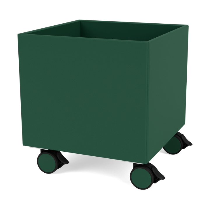 Colour Box I – S6161, Pine Montana