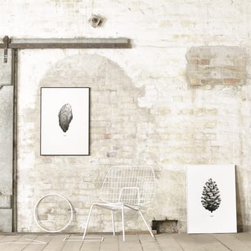 1:1 Poster Pine cone - bianco, 50x70 cm - Paper Collective