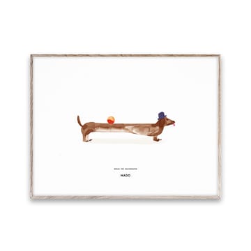 Poster Doug the Dachshund  - 30x40 cm - Paper Collective