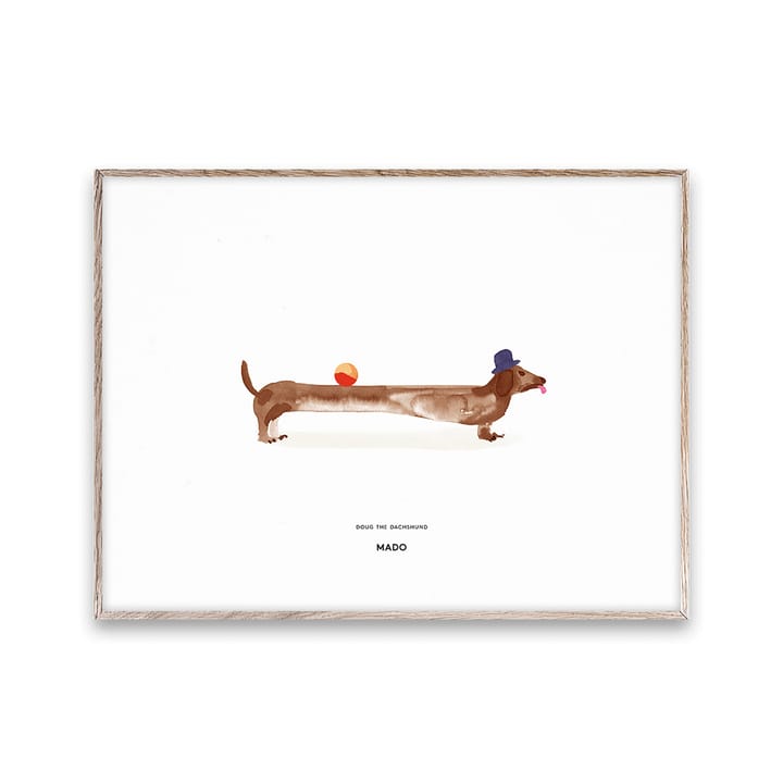 Poster Doug the Dachshund , 30x40 cm Paper Collective