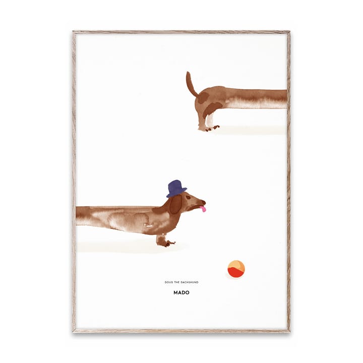 Poster Doug the Dachshund , 50x70 cm Paper Collective