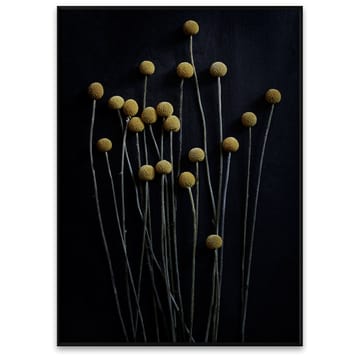 Poster Sto Life 01 Yellow Drumsticks  - 50x70 cm - Paper Collective