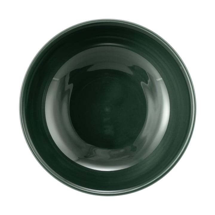 Ciotola Terra, Ø 15 cm, confezione da 4 - Verde muschio - Seltmann Weiden