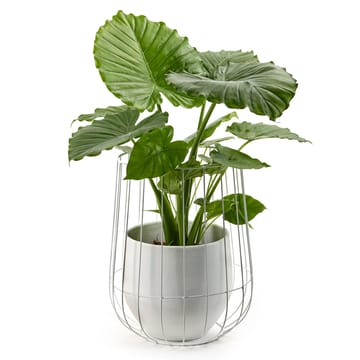 Vaso da fiori in cesto Serax 37x46 cm - bianco - Serax