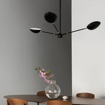 Lampadario da soffitto Spoon - Nero opaco, ottone - Watt & Veke