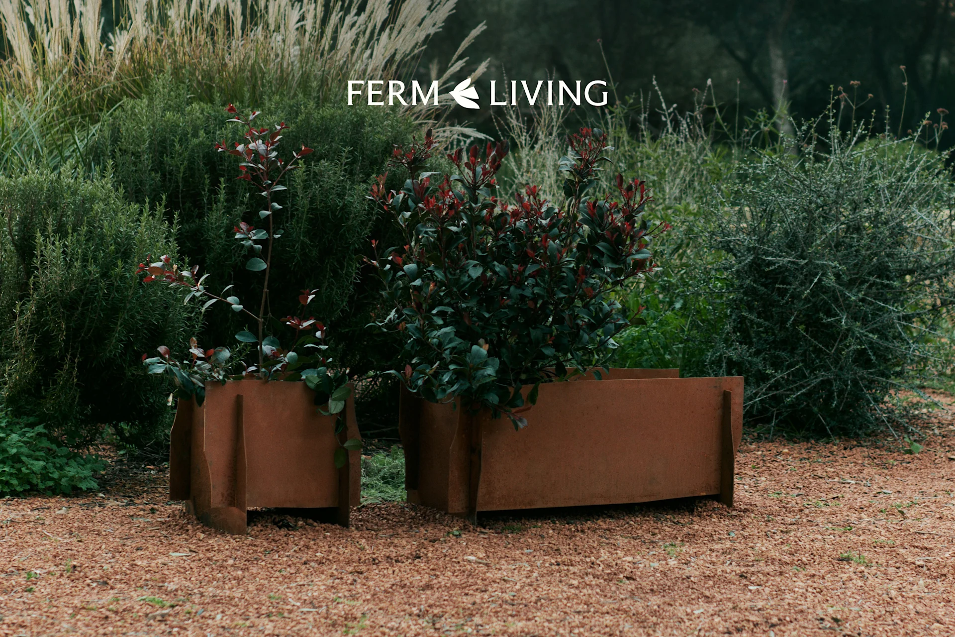 Due fioriere in metallo invecchiato con piante a foglie verdi e rosse su ghiaia in un giardino. Logo Ferm Living.